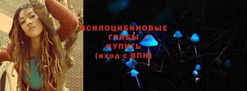 кракен ссылки  Калтан  Псилоцибиновые грибы Psilocybe  купить  сайты 